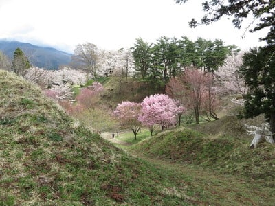 鶴峰城から見る猪苗代城