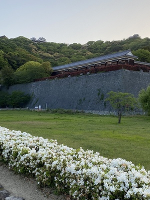 三之丸より　本丸・二之丸庭園