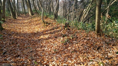 主郭北側の土塁