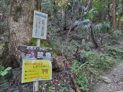 登山道案内板