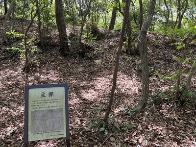 鷹尾山城・主郭跡