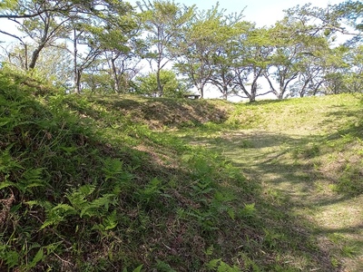 小川城　主郭・土塁・石垣