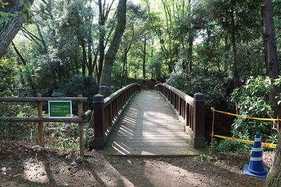 木橋