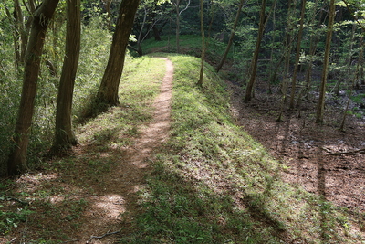 大池土手