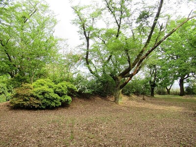 本丸内部