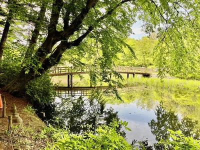 水堀と橋