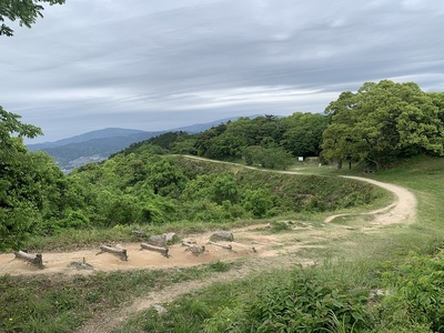 焼米が原