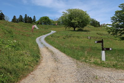 桑折西山城跡