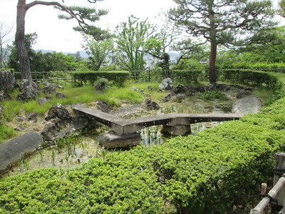 二の丸　築山と池