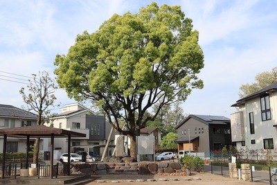 石倉城二の丸公園