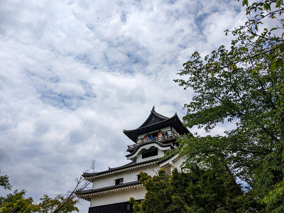 新緑の犬山城