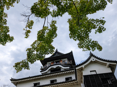 新緑の犬山城