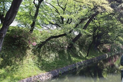 三の丸外囲の土居と堀