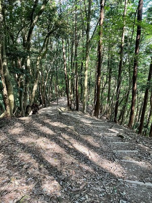 登山道