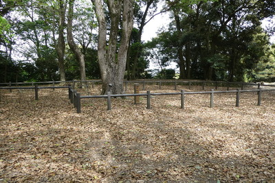 本丸建物跡礎石群