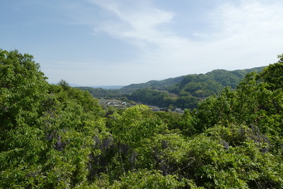 富士見展望台からの眺望