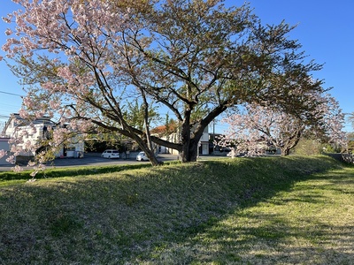 北館土塁