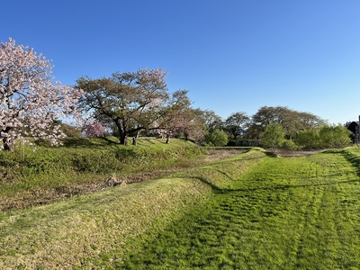 北館と外郭の間の中土塁