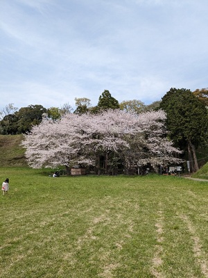 城跡南側から