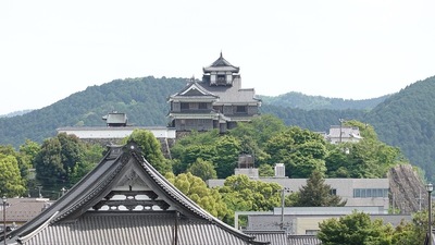 明智薮からの天守閣