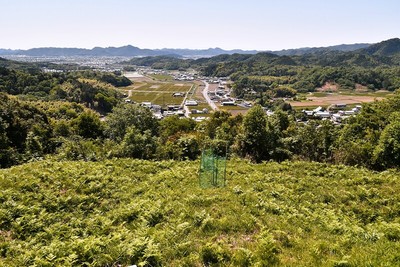 畝状竪堀群（前城のお堂前）