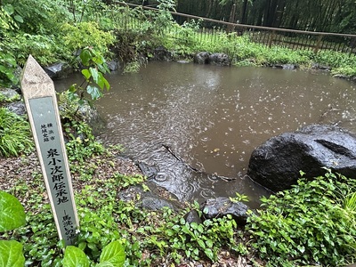 馬洗いの小次郎池