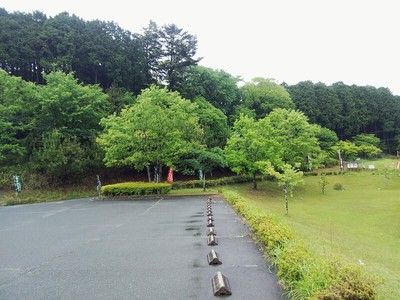 亀山城遠景