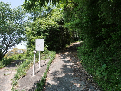 登城路