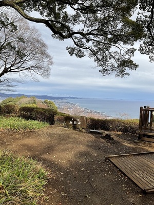 小田原城を望む