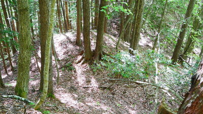 二重の堀切（南側）
