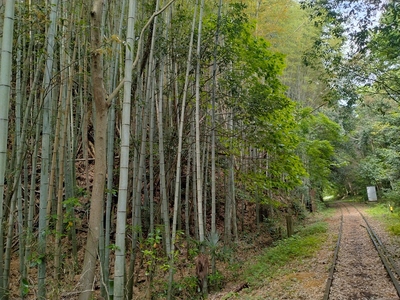 城址横