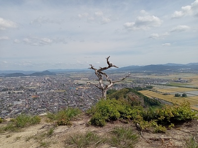 八幡山城　出丸跡からの眺望