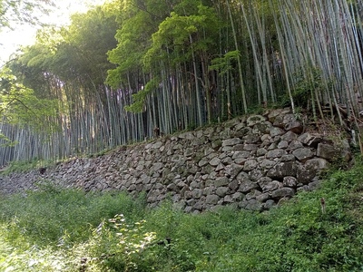 八幡山城　家臣団屋敷跡の高石垣