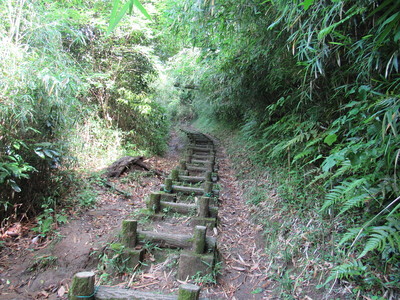 衣笠公園から城趾へ向かう急坂