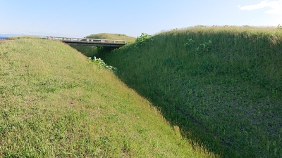 志苔館 土塁と空堀