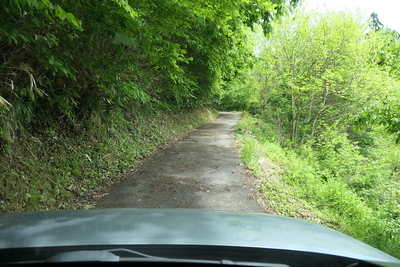 駐車場までの山道