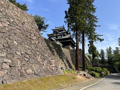 現存天守と本丸東側石垣