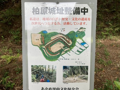 縄張り図