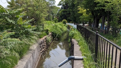 風呂川