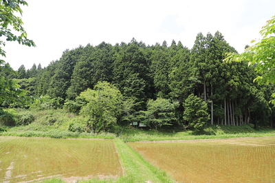 登城口