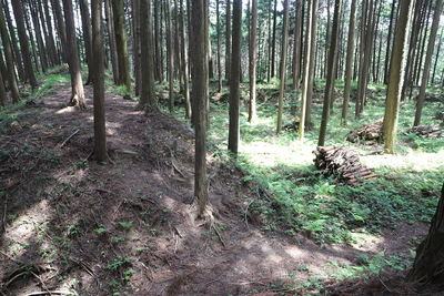 虎口部分からの土塁