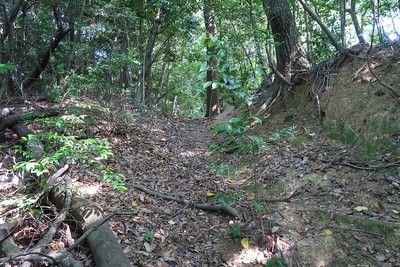 宿野城 北虎口（城外より）