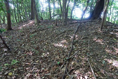 宿野城 北虎口脇の土塁