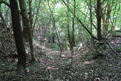 宿野城 城域南の堀切