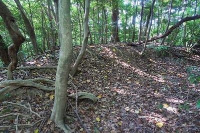 宿野城 城址南西の土塁