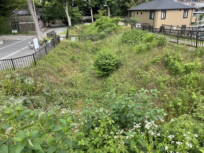 通路（土橋）の虎口