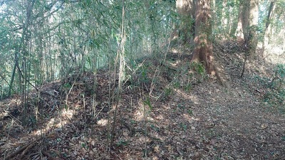 南側の郭にある土塁