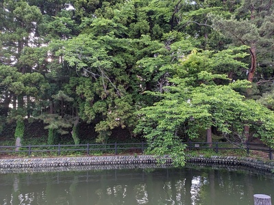 藤島城水堀