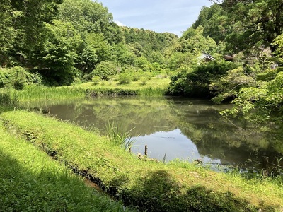 醫王寺(医王寺)・弥陀池