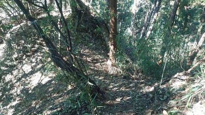 主郭南西の尾根を断つ堀切
